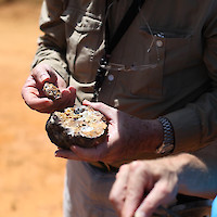 Geologist examining sample in the field